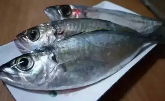 海南，热带天堂的秘密花园之旅